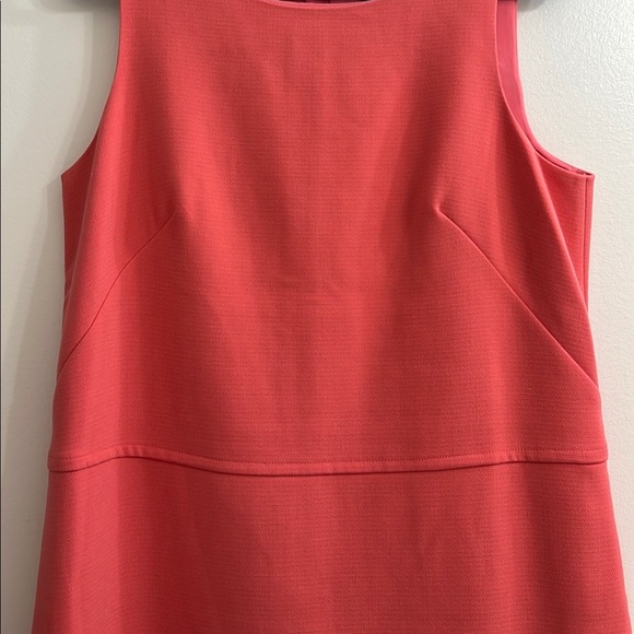 Ann Taylor Dress, Shift, Sz 12 - Picture 6 of 7